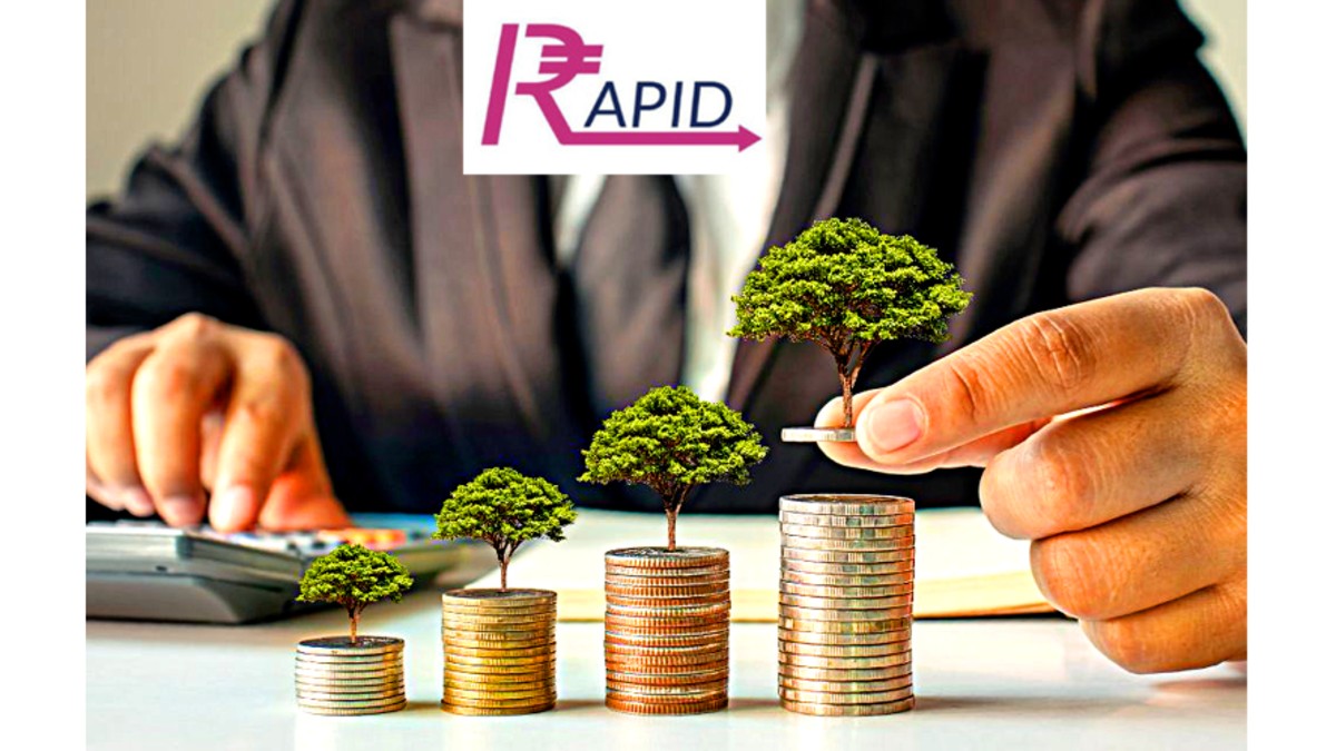 Rapid Investments Ltd re-appoints Nina Ranka as MD