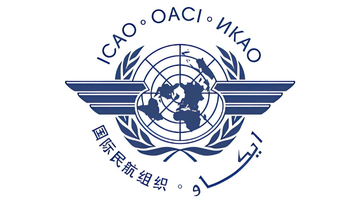 Satyajit Mohanty appointed Representative of India in ICAO (UPDATED)