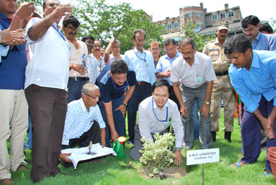 DVC observes world environment day