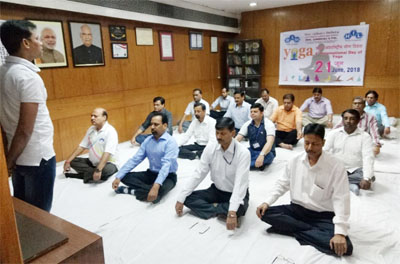 HIL observes International Yoga Day