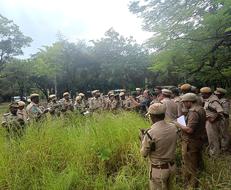 First grass survey conducted in Nallamala