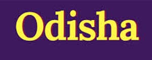A couple of Odisha cadre officers to return to parent cadre!